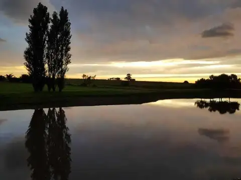 Terreno Campo  en Venta en Colonia, Uruguay