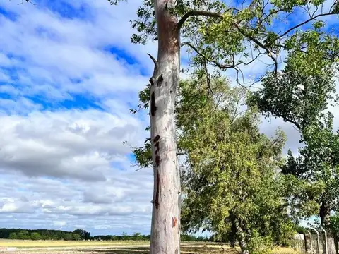 San Martin - Villa Adriana