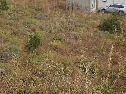 Terreno en Venta de 220,0 m2