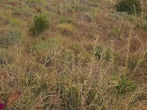 Terreno en Venta de 220,0 m2