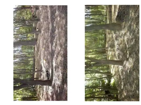 Venta Terreno Potrero de los Funes