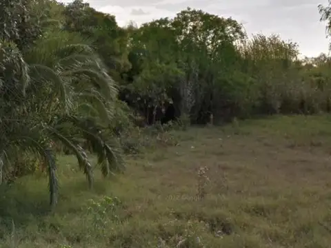Ricardo Rojas e/ Avenida Mariano Saavedra y Adrián J. Viale
