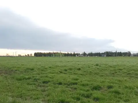 Terreno en Venta 50  mts Fondo