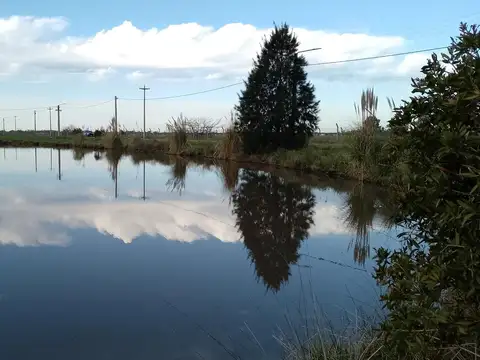 Terreno en venta en campo de roca 2
