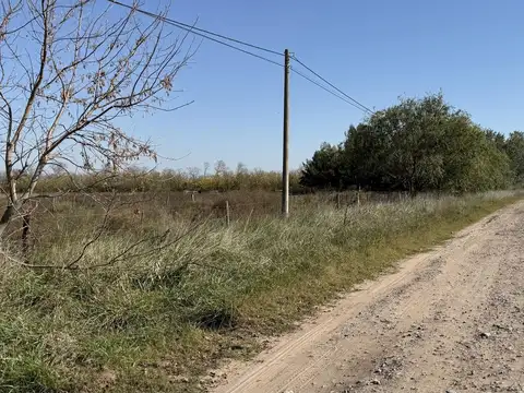 Bahia de los Lobos al 100