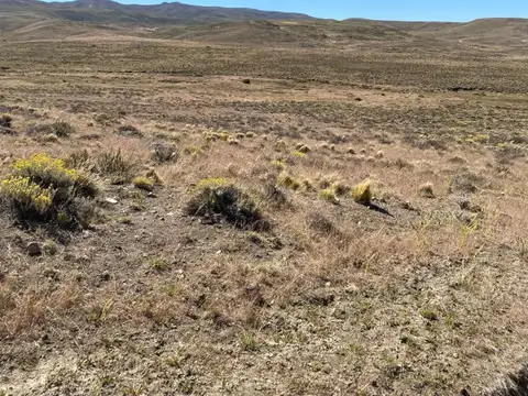 Campo en Venta de 2.500  ha