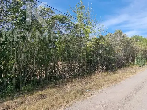 Terreno en Venta 55  mts Fondo