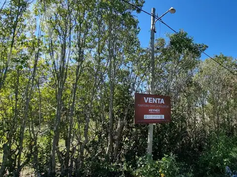 Villa Elisa Excelente Terreno Subdivisible - Ideal Desarrolladores