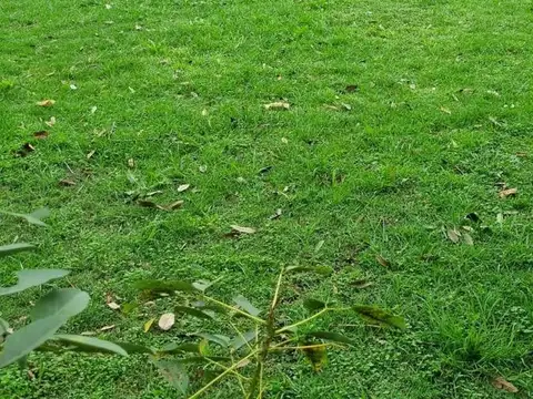 Terreno en Venta de 261,0 m2