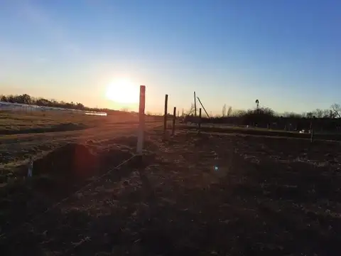 Terreno en Venta 50  mts Fondo