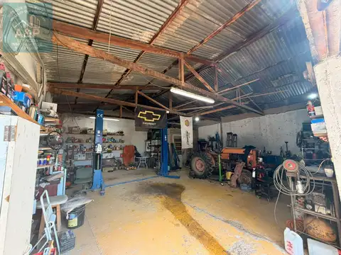 Chacra en Cipolletti
