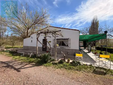 Chacra 4  Esquinas A 2 cuadras de la calle Rural A16 CIPOLLETTI