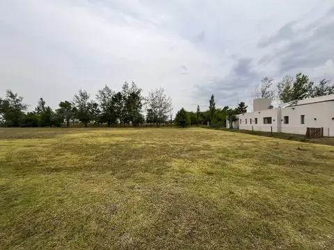 La Rinconada - Lote 220