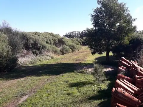 Venta Lote Con Planos Aprobados y Construcción a Terminar Calle 45 y 88 Mar Del Sud