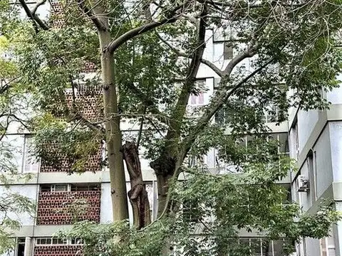 Doctor Eduardo Braun Menéndez 200, Piso 3