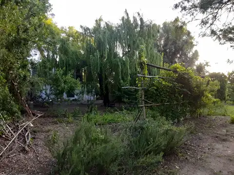 La Paz