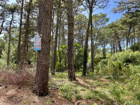 Terreno en Venta, FOS 0.4