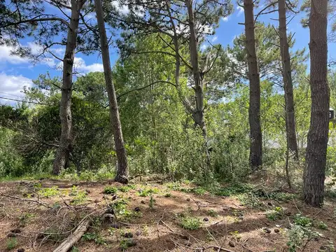 Terreno en Venta 15  mts Fondo