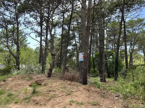 Terreno en Venta, FOT 0.6