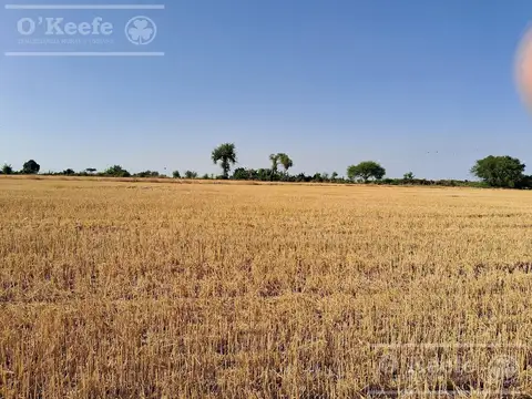 Campo en Venta 2500 has Entre Rios