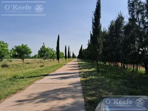 Campo en Venta 2500 has Entre Rios