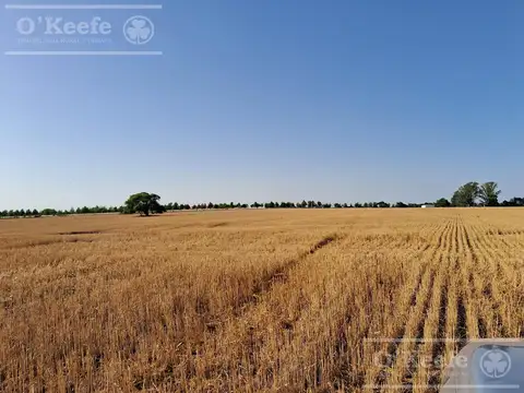 Espectacular campo, con muy buen casco e instalaciones. Agrícola ganadero turístico