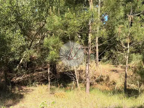 Terreno en Venta 21  mts Frente