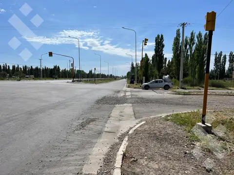 En Alquiler | Lote Comercial de 5.000 m2 | Av. Mosconi y Felipe Sapag | Plottier