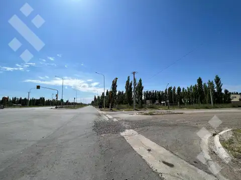 En Alquiler | Lote Comercial de 5.000 m2 | Av. Mosconi y Felipe Sapag | Plottier