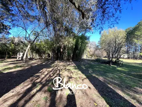 Calle Las Piedras 2000 -