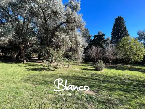 Terreno en Venta de 17300,0 m2