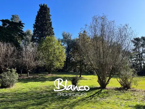 Calle Las Piedras 2000 -