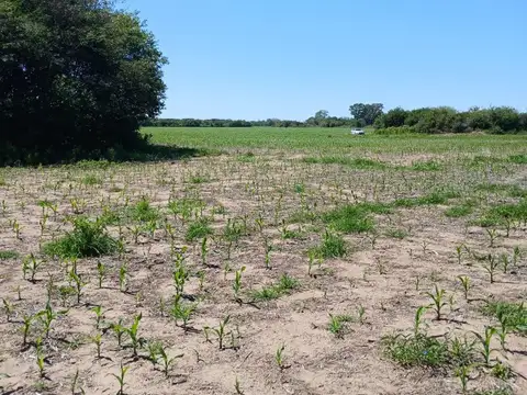 VENTA 17Hs CAMPO CAÑADA DE RIO PINTO CORDOBA