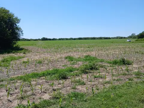VENTA 17Hs CAMPO CAÑADA DE RIO PINTO CORDOBA