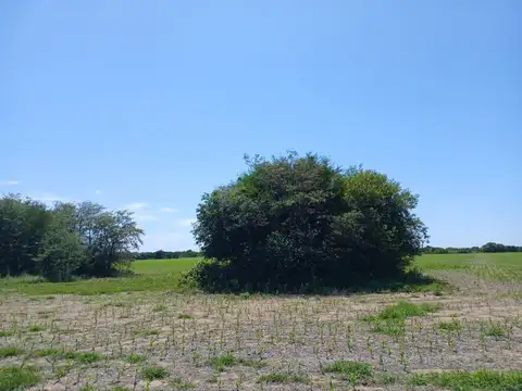 VENTA 17Hs CAMPO CAÑADA DE RIO PINTO CORDOBA