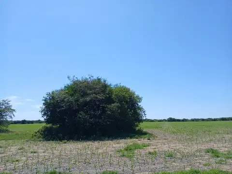VENTA 17Hs CAMPO CAÑADA DE RIO PINTO CORDOBA