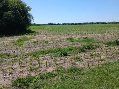 VENTA 17Hs CAMPO CAÑADA DE RIO PINTO CORDOBA
