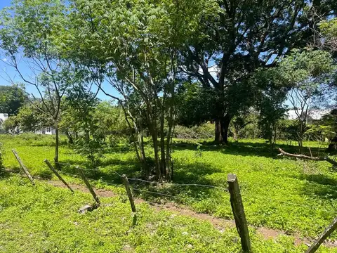 San Martin Y Colombia