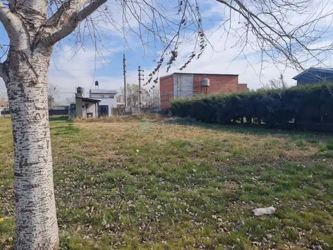 Terreno en Venta de 319,0 m2