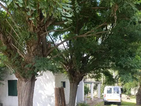 Casa en Alquiler al Norte