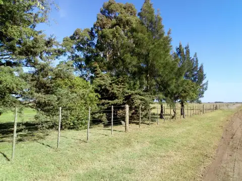 8 HECTAREAS EN VENTA EN MADARIAGA