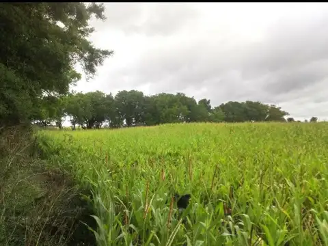 Terreno en Venta en General Madariaga, USD 185.000