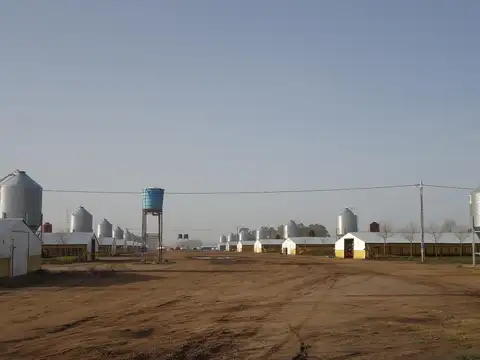 Pedernales 25 de Mayo Buenos Aires