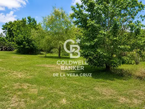 Terreno en Venta 44  mts Fondo