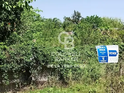 Terreno en Venta 44  mts Fondo