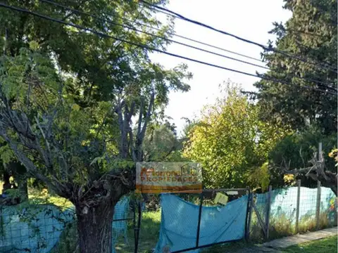 Terreno/Lote en alquiler en Benavidez - Zona Norte