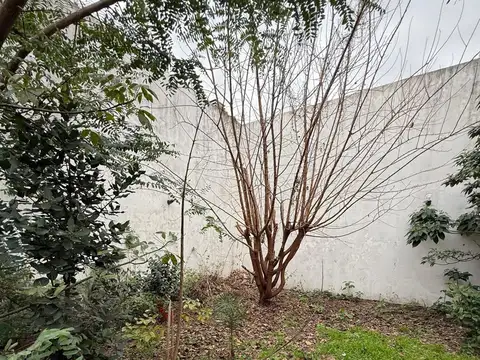 Casa en Lote Propio 8,66 x 38mts con Fondo Quincho y Parrilla Cochera 2 Autos Ideal Construccion
