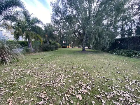La Pradera