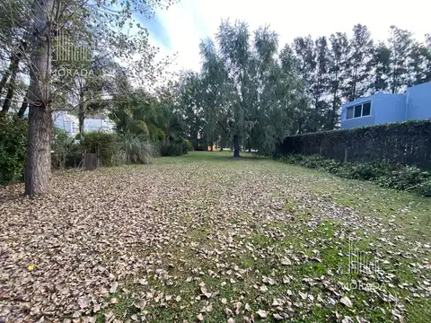 La Pradera
