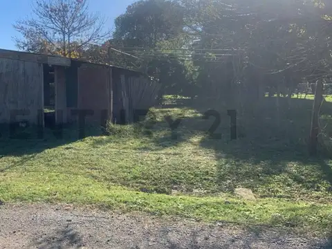 Las Palmeras y Las Acacias , Piso 0